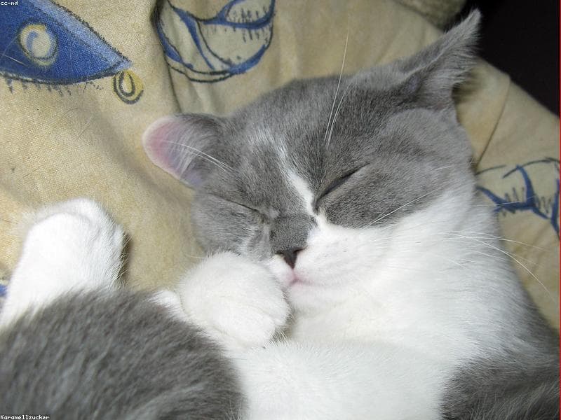 Oliver